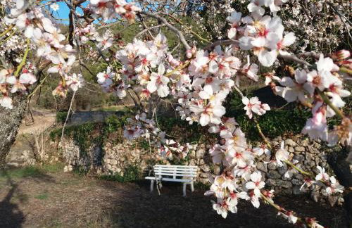 Mas de Pau - Boutique Apartments - Foto 64