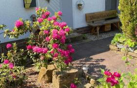 Ferienwohnung - Foto 17