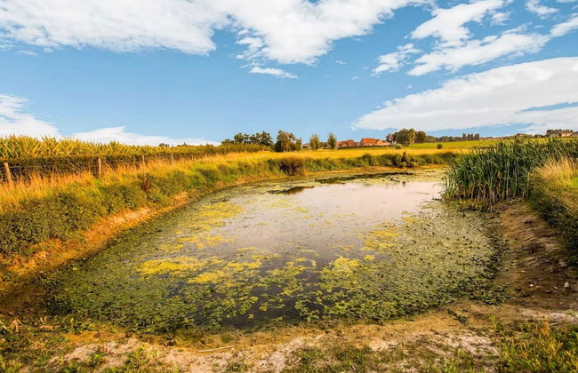 Home in a Rural Setting With a Wonderfully Garden - Foto 38