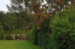 Zielona Mila Dom Wakacyjny - Foto 8