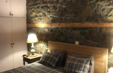 Δάφνη 1933, Λιθόχτιστο Αρχοντικό στο Βουνό - Foto 8