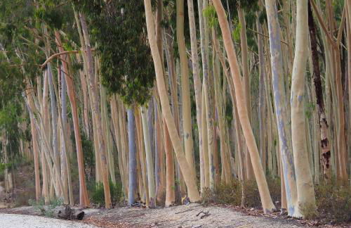 La Casa de Oti playa Mazagón vistas al mar - Foto 40