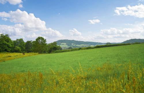 Shippen - Uk50078 - Photo 11