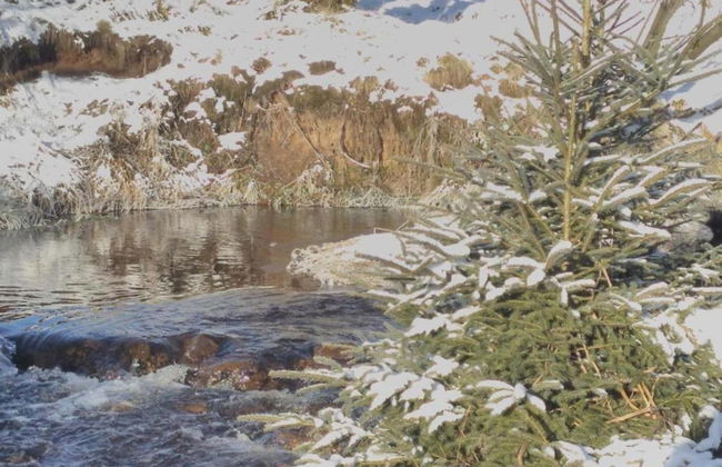 Lavish Holiday Home in Abertamy near Ski Area - Photo 28