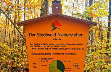 Ferienwohnung Löwenstern Niederstetten - Foto 27