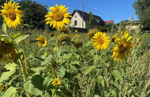 Villa Rosencottage by Interhome - Foto 40