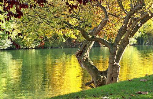 Paris - Bords de Marne - Foto 1