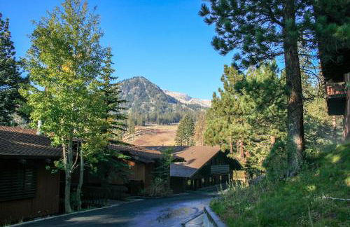 Mammoth West #137 Condo - Foto 46