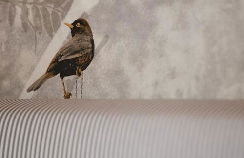 The Knoll Tower - Foto 18