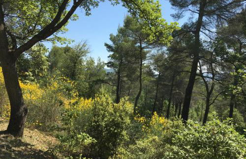 Villa de Carbonelle - Foto 39