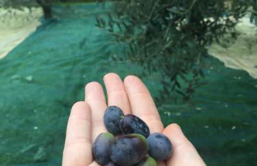 Agriturismo La Casina nel Vigneto - Foto 38