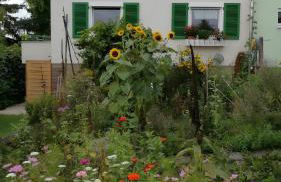 Freilandhof - Foto 31