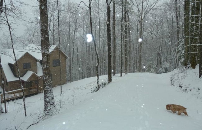 Endless View Blue Ridge - Foto 29