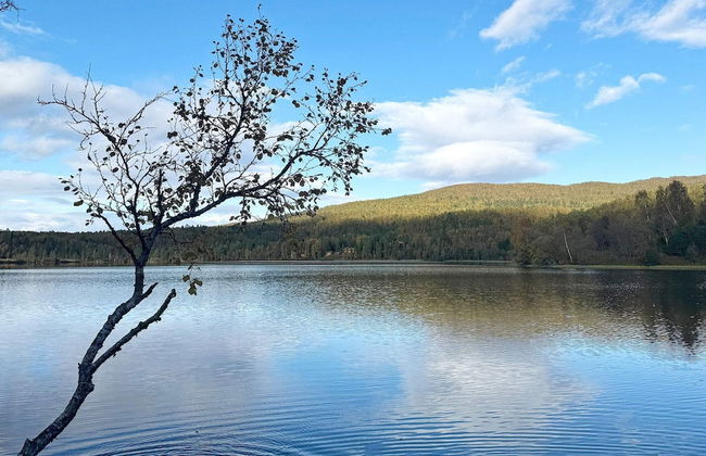 4 Star Holiday Home in Storsteinnes - Foto 42