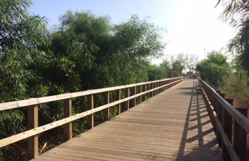 Villa Lota - Foto 18