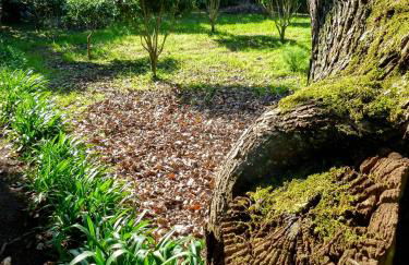 Quinta do Espírito Santo - Photo 28