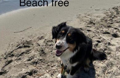 LA CONCHIGLIA A MARINA - Foto 68