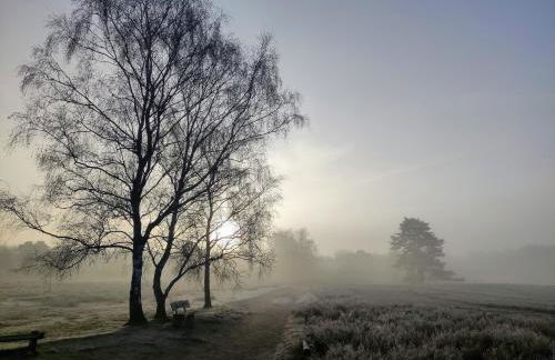 Mamat Ferienwohnungen - Foto 19