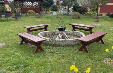 Agro na Wapniarni - Foto 22