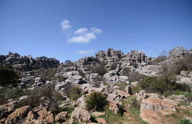 Casa Almendros - Foto 39