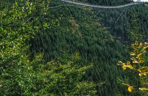 Butikowe apartamenty w Sudetach - TRZY MORZA - pod górą Trójmorski Wierch - Foto 58