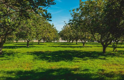 Casa de Cacela - Foto 12