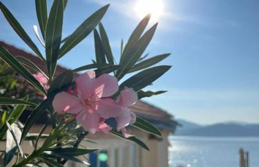 Schwalbenhaus - Foto 20