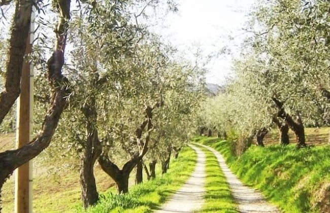 Agriturismo Terrasabina - Foto 60