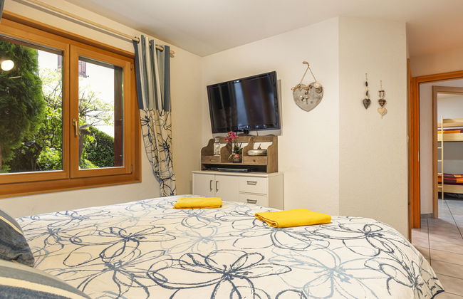 Bouquetins - Photo 21