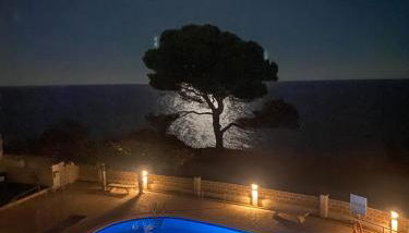 La Rosaleda - Foto 5