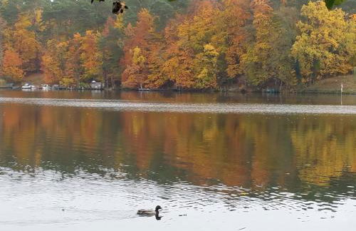 Mobile-Home - Foto 10