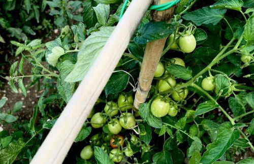 CasaVacanze NiGiNo - Foto 63