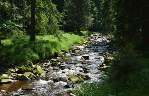 Verlegerhaus Seiffen - Foto 45