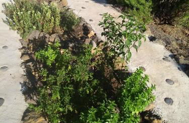 Finca Primavera - Foto 32