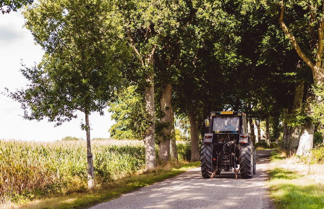 Relaxing Drenthe Retreat - Foto 38