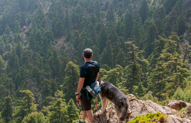 Randonnée dans la forêt de pins d'Estepona - Photo 5