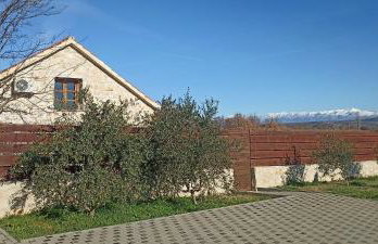 House Stone Curlew 3 - Foto 19