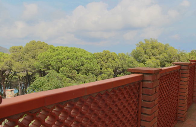 Allegroitalia Elba Capo d'Arco - Foto 56