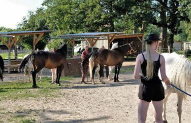 Luxus-Ferienhaus auf Reiterhof ART.Quartier - Foto 23