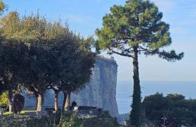 Ninfea Apartment Superior - Foto 41