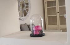 Persefoni 's hause 1 - Foto 31