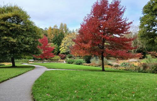 Hazel Cottage, Frithelstock - Foto 34