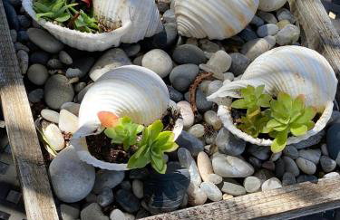 Patras Cozy Lodge - Foto 12