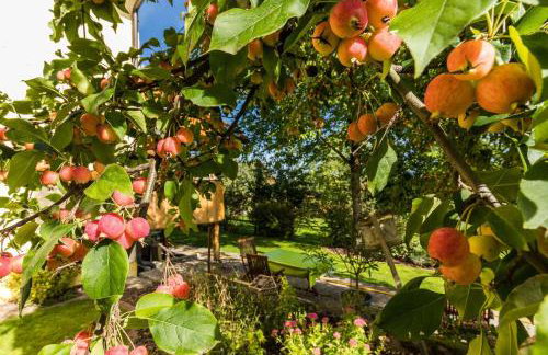 Landhaus Breg - Foto 12