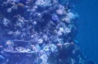 Apartment Bär by Interhome - Foto 73