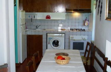 il geranio - Foto 28