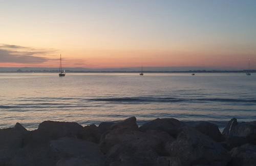 La petite Camargue - Foto 1