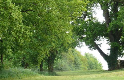 Gîtes à l'ombre des chênes - Foto 39