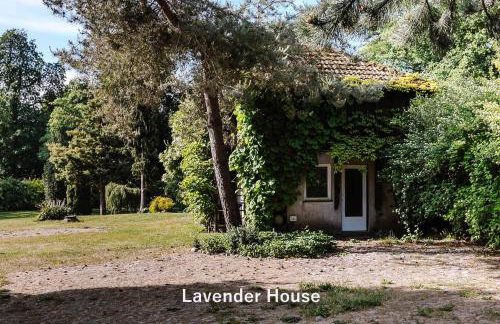 Lavender House - Foto 27
