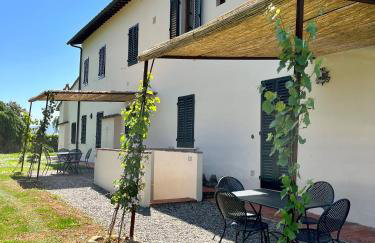 Fattoria Montignana - Foto 60